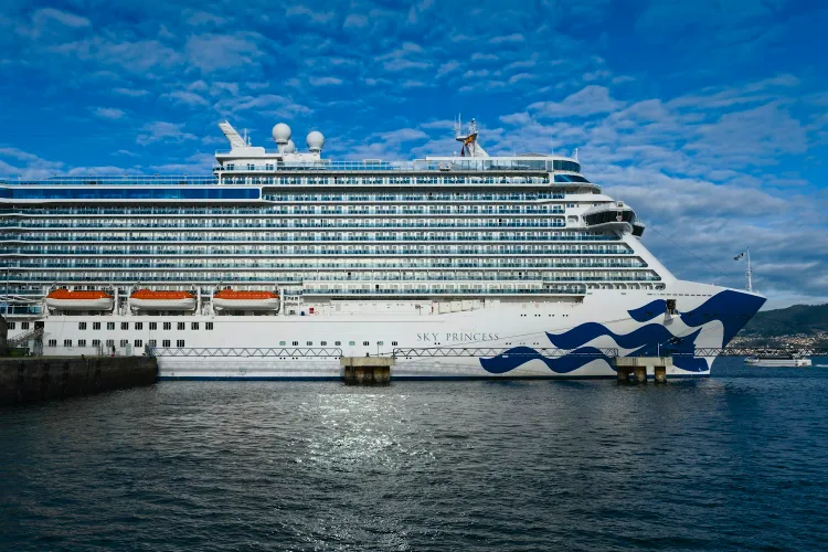 Cruise ship docked at the cruise terminal pier